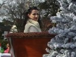 Narnia at St Patrick's Day Parade in Bray 